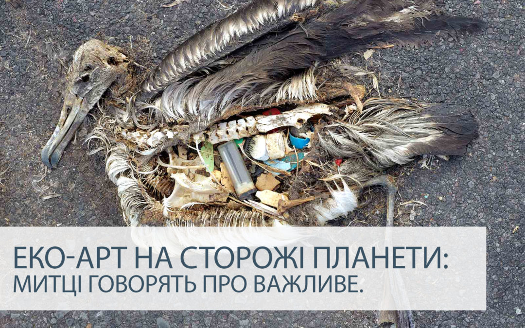 Еко-арт на сторожі планети: митці говорять про важливе.
